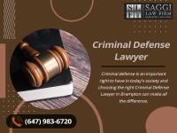 Saggi Law Firm image 57